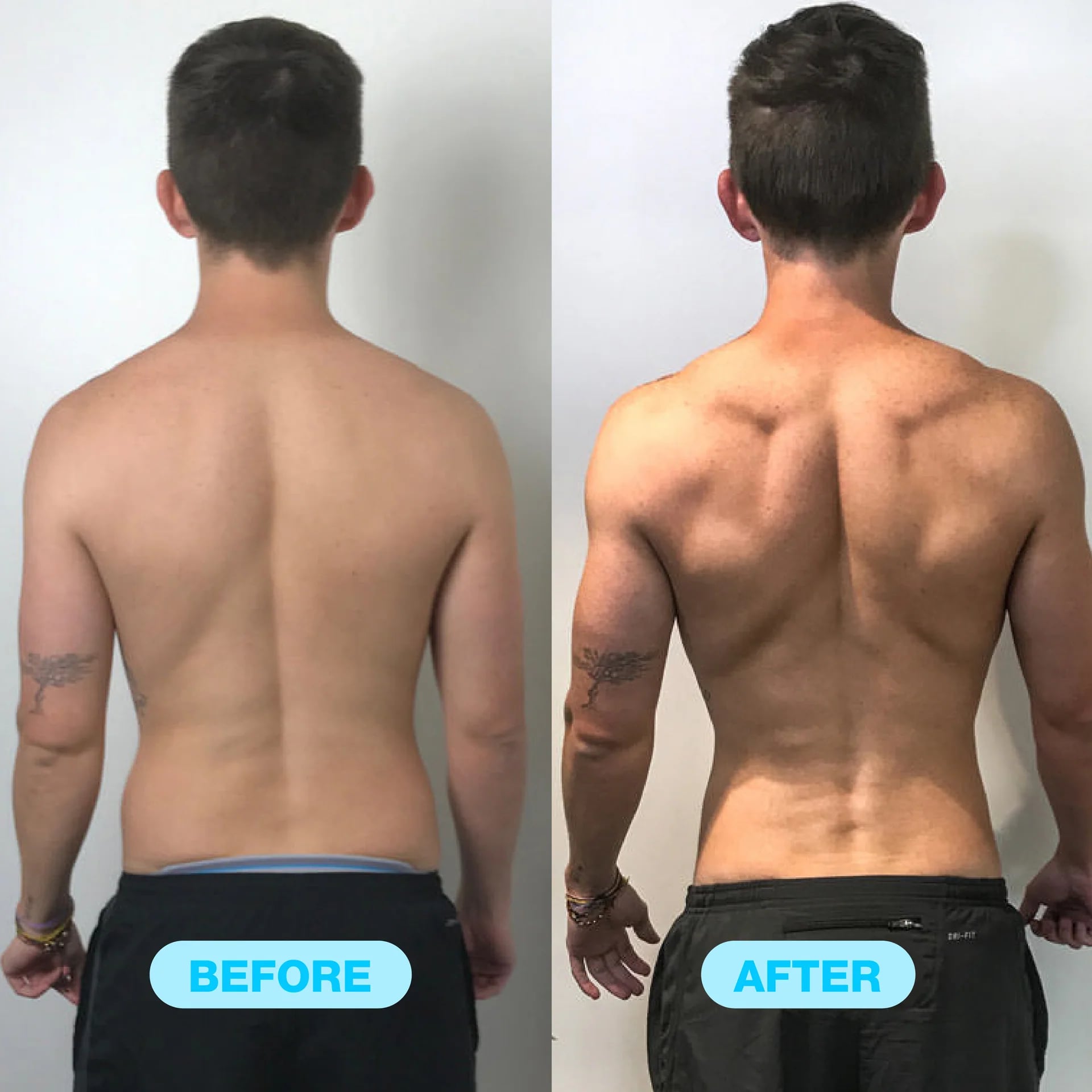 GAINVALUE PRO TWISTER ARM TRAINER